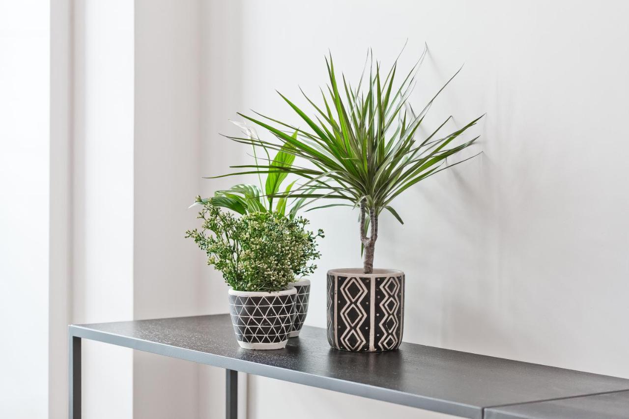 Bag- Boutique Grey - Hilton Area Apartment Athen